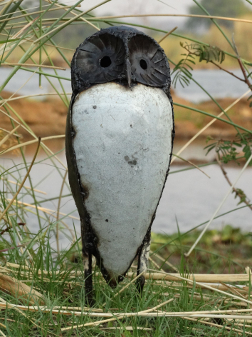 Black and white bird with speckled plumage perched among dried grasses, rear view
