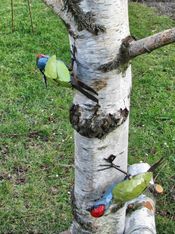 Birch tree trunk with carved notches and colorful yarn wrappings in red, blue, and green tied around the white bark