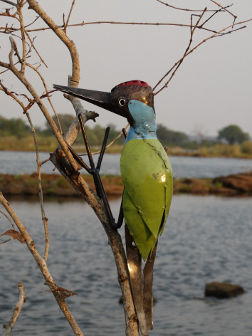Turquoise-headed bee-eater perched on bare branch beside water, green and blue plumage visible in side profile