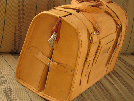 Tan leather travel bag with structured rectangular shape, front pockets, and adjustable straps, shown from front angle