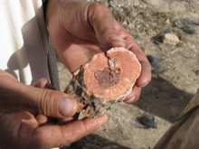 Mains tenant un morceau de céramique rose terracotta fragmenté, vue rapprochée d'un artisanat en cours de travail